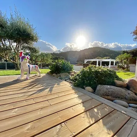 Villaserenita Piscine Chauffee Et A Ajaccio Villa
