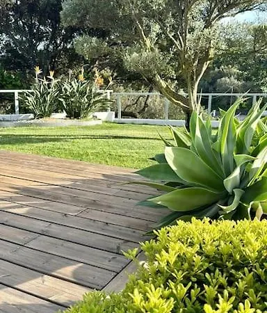 Villa Villaserenita Piscine Chauffee Et A Ajaccio Ajaccio (Corsica)