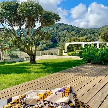 Villaserenita Piscine Chauffee Et A Ajaccio Villa *