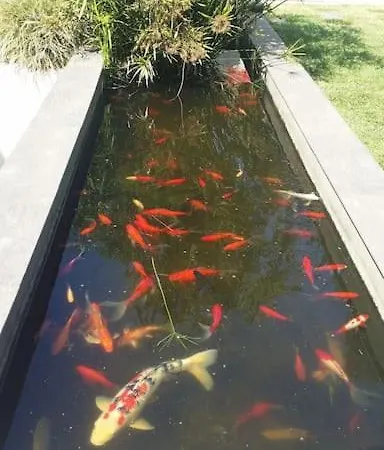 Villaserenita Piscine Chauffee Et A Ajaccio