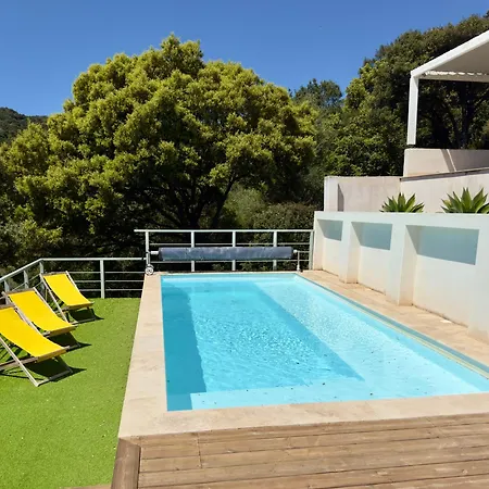 Villaserenita Piscine Chauffee Et A Ajaccio Villa *