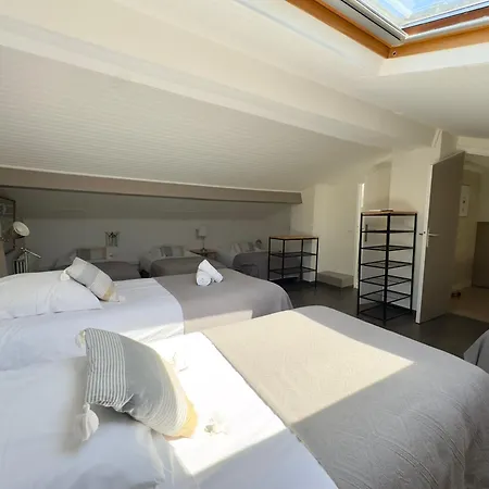 Villaserenita Piscine Chauffee, Jacuzzi, Ping-pong, Petanque Villa Ajaccio (Corsica)