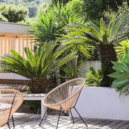 Villaserenita Piscine Chauffee, Jacuzzi, Ping-pong, Petanque Villa Ajaccio (Corsica)