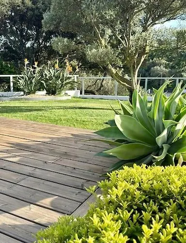 Villa Villaserenita Piscine Chauffee, Jacuzzi, Petanque Ajaccio (Corsica)