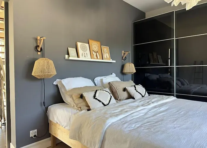 Villaserenita Piscine Chauffee, Jacuzzi, Petanque * 阿雅克肖