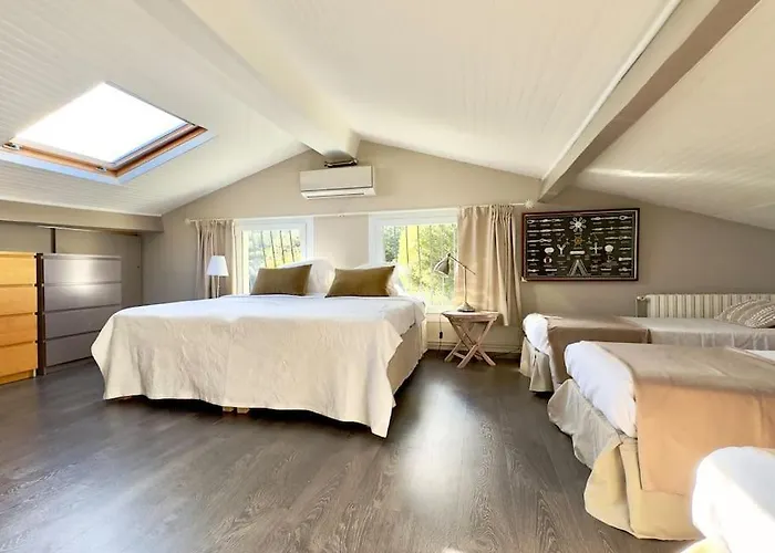 Villaserenita Piscine Chauffee, Jacuzzi, Petanque * 阿雅克肖